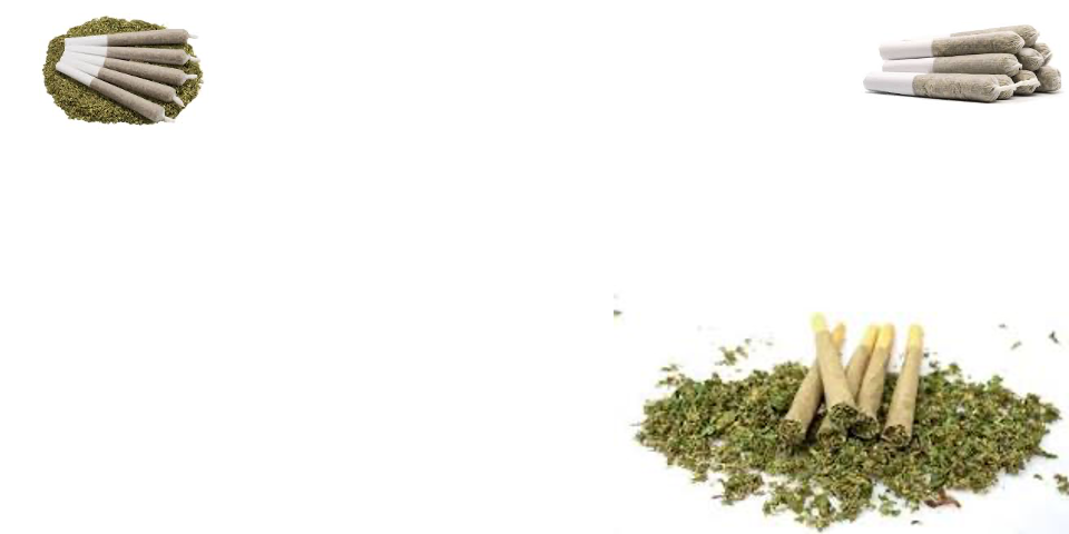 CannaVana : Best Marijuana Dispensary Rockland, MA